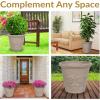 Sunnydaze 19.5-Inch Arabella Large Plastic Pot for Plants – Outdoor Double-Walled Polyresin Large Plastic Planter with Drillable Drainage Holes – Antique White – 4-Pack(Beige)
