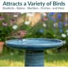 Sunnydaze 21″ H Ceramic Bird Bath for Outside – Hand-Painted Outdoor Bird Bath Bowl, UV/Frost-Resistant Finish – Lemon Cognac(Cloud Swirl)