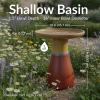 Sunnydaze 21″ H Ceramic Bird Bath for Outside – Hand-Painted Outdoor Bird Bath Bowl, UV/Frost-Resistant Finish – Lemon Cognac(Lemon Cognac)