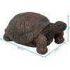 Sunnydaze Tanya the Garden Turtle Statue – Turtle Garden Decor for Yard, Lawn, Patio Décor – 20″ x 12″ Durable Poly-Concrete – Gift Idea(Tanya – 20 in)
