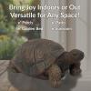 Sunnydaze Tanya the Garden Turtle Statue – Turtle Garden Decor for Yard, Lawn, Patio Décor – 20″ x 12″ Durable Poly-Concrete – Gift Idea(Tanya – 20 in)