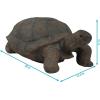 Sunnydaze Tanya the Garden Turtle Statue – Turtle Garden Decor for Yard, Lawn, Patio Décor – 20″ x 12″ Durable Poly-Concrete – Gift Idea(Todd – 30 in)
