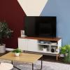 Sunnydaze Mid-Century Modern TV Stand for 55-Inch TV – Living Room Entertainment Center with Storage – Media Console Cabinet with Shelves – Gray(Latte)